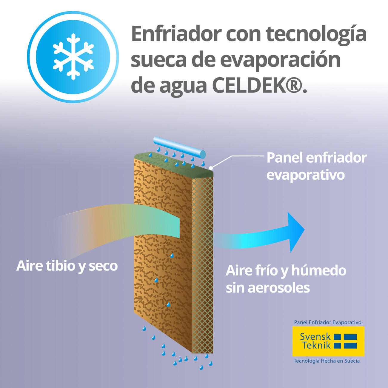 Climatizador Frio/Calor 8L Thor 5 en 1 Digital