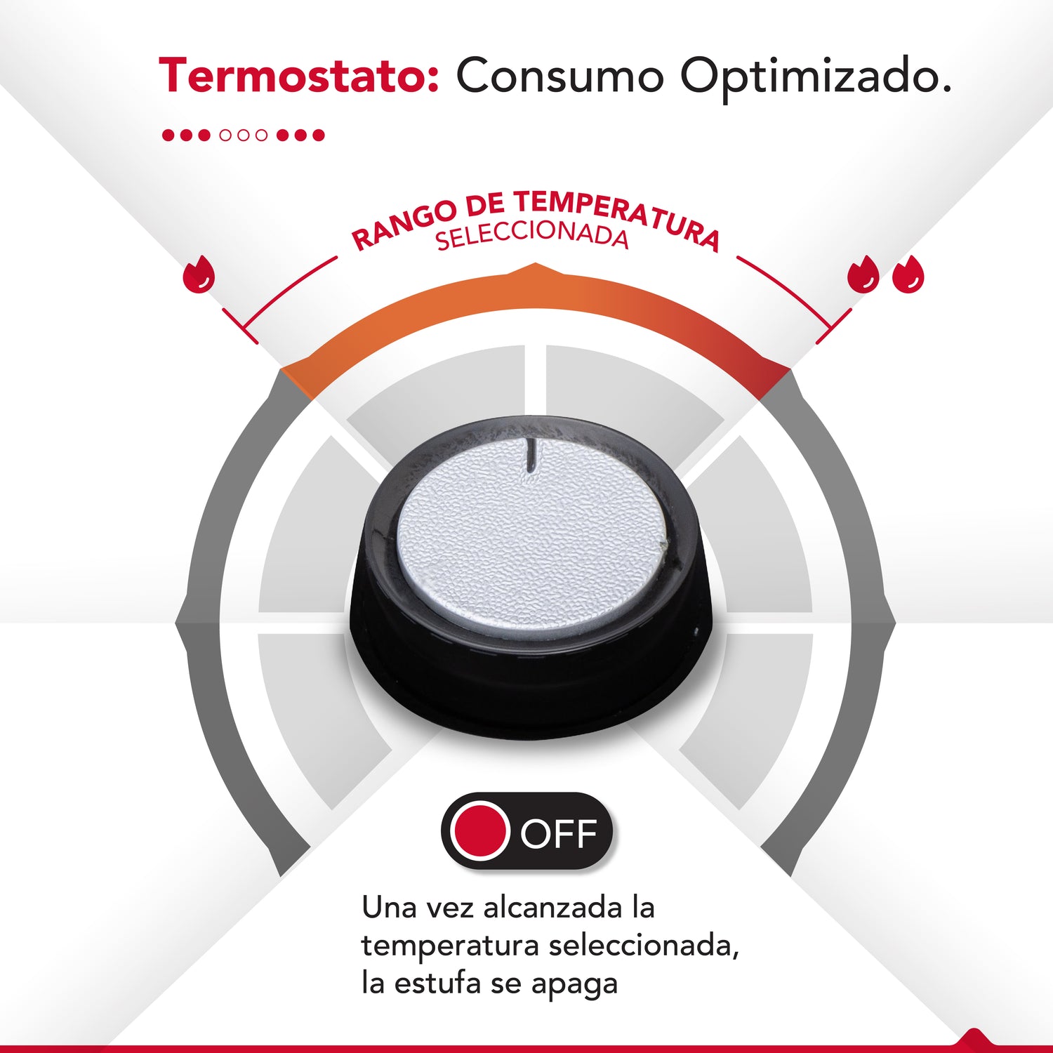 Estufa eléctrica Thor Carbon Heat