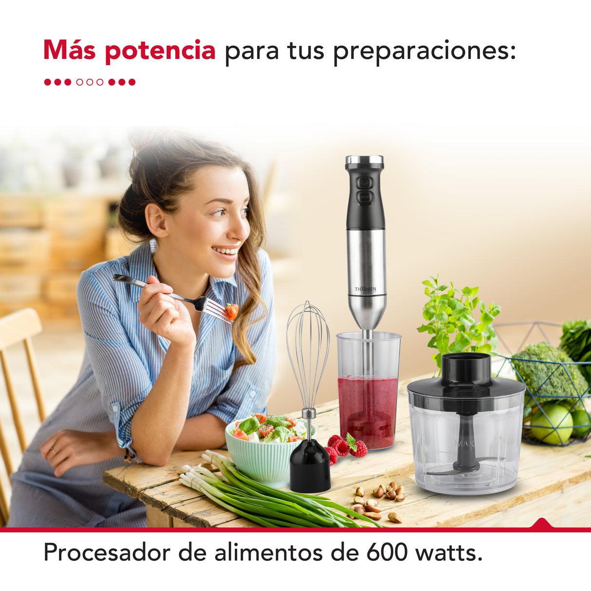 Pimmer 4 accesorios 600W Thor HB Set