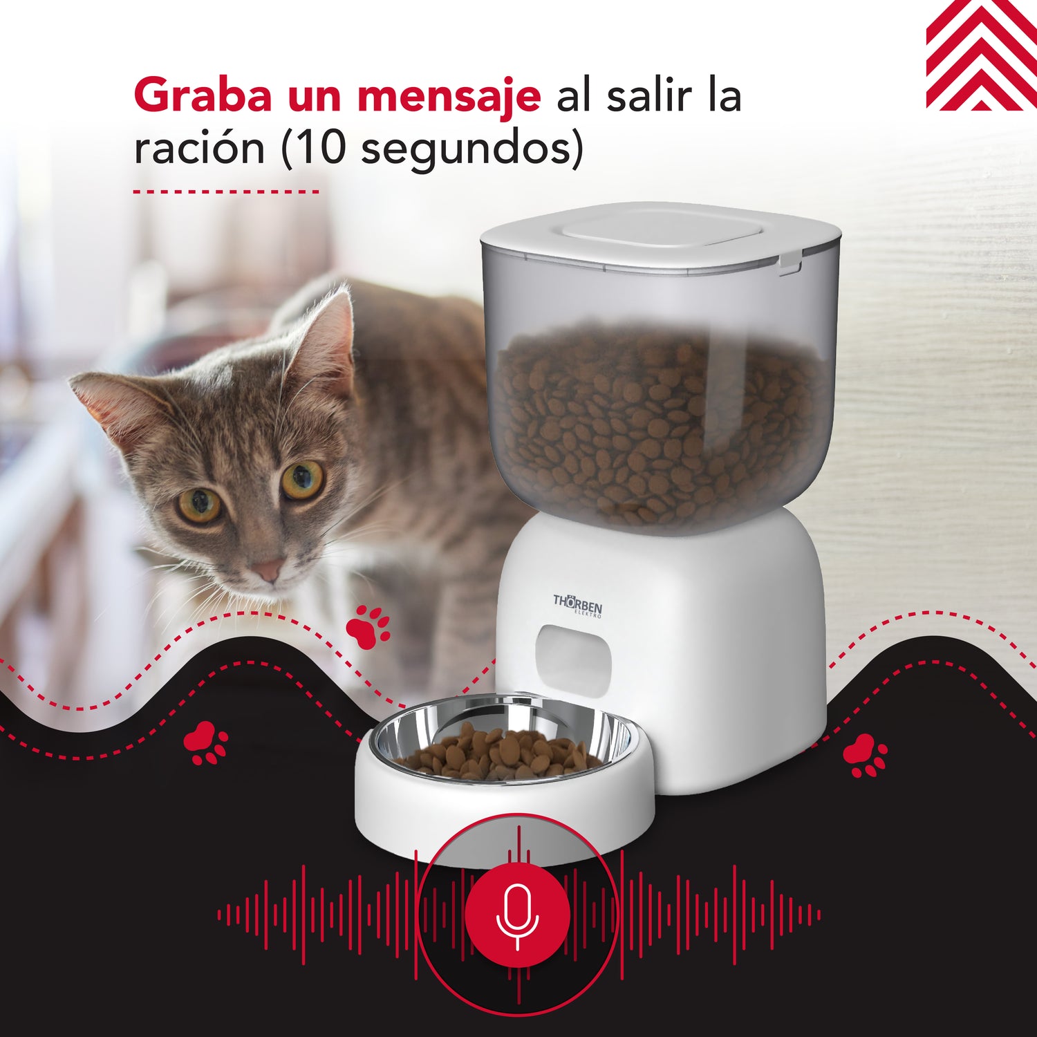 Dispensador comida eléctrico Thor Pet Auto-Feeder