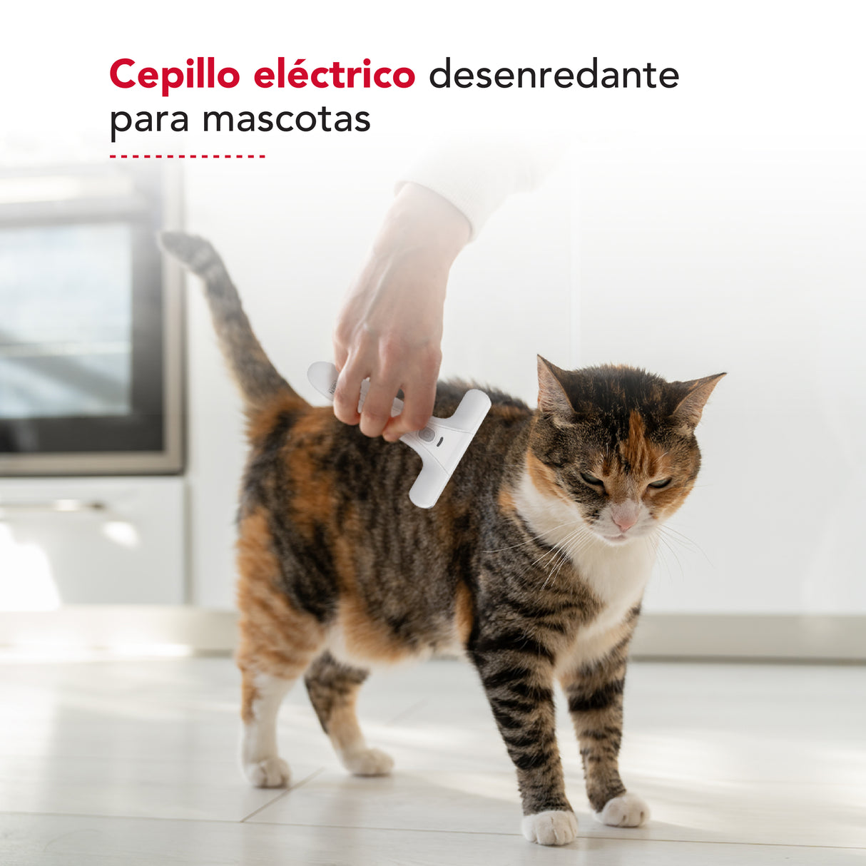 Desenredador eléctrico Thor Electric Usb Pet Detangling Brush
