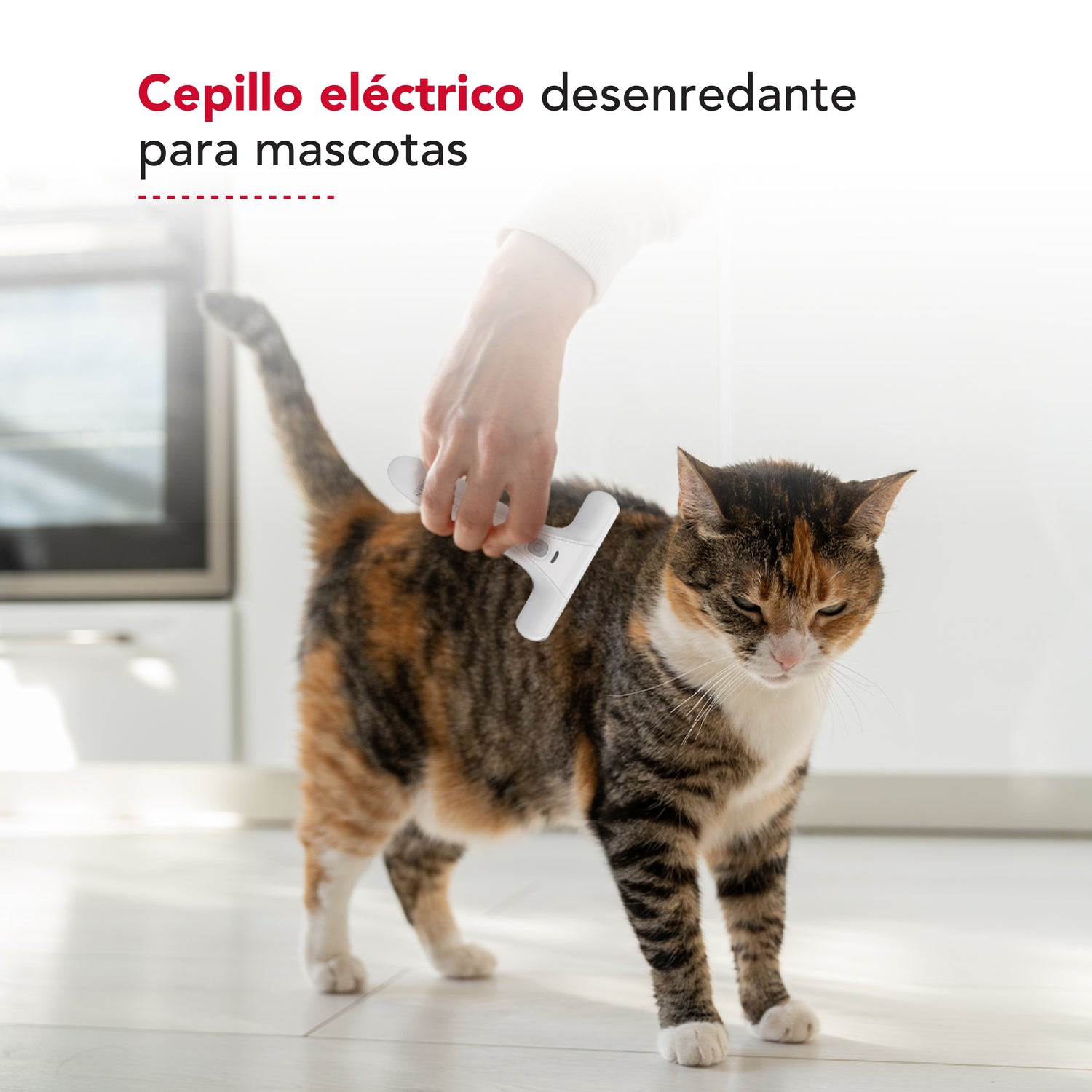 Desenredador eléctrico Thor Electric Usb Pet Detangling Brush