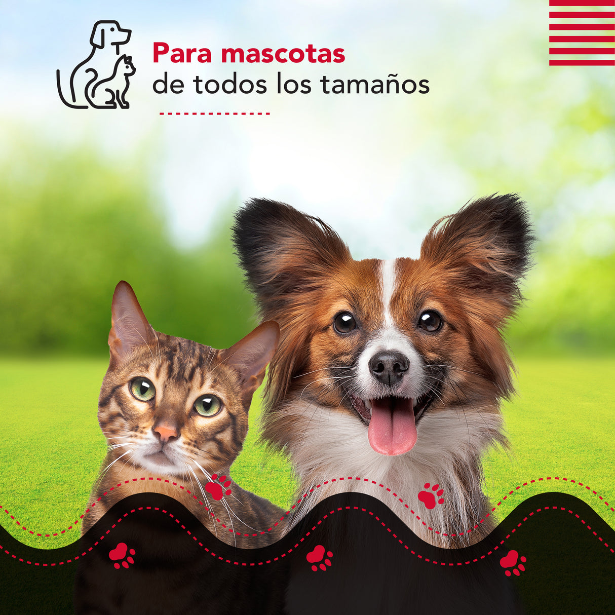 Cepillo y aspiradora Thor Cordless Usb Pet Vac