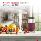 Batidora de inmersión Thor Hb Stick 300