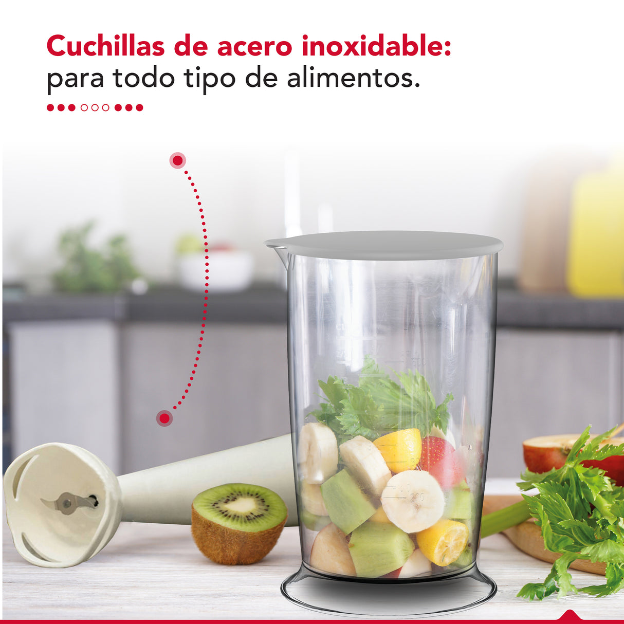 Batidora de inmersión Thor Hb Stick 300