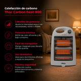 Pack 2X Thor Carbon Heat 800