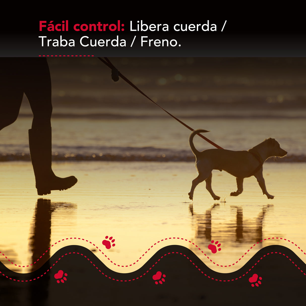 Correa Luminosa Thor Light Leash S