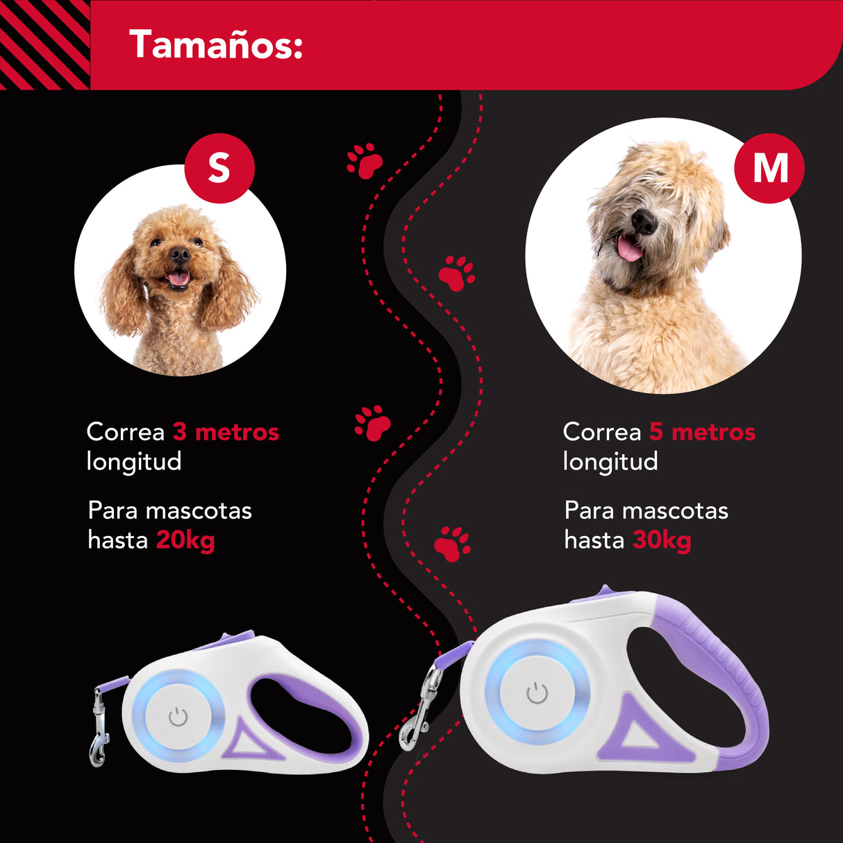 Correa Luminosa Thor Light Leash S