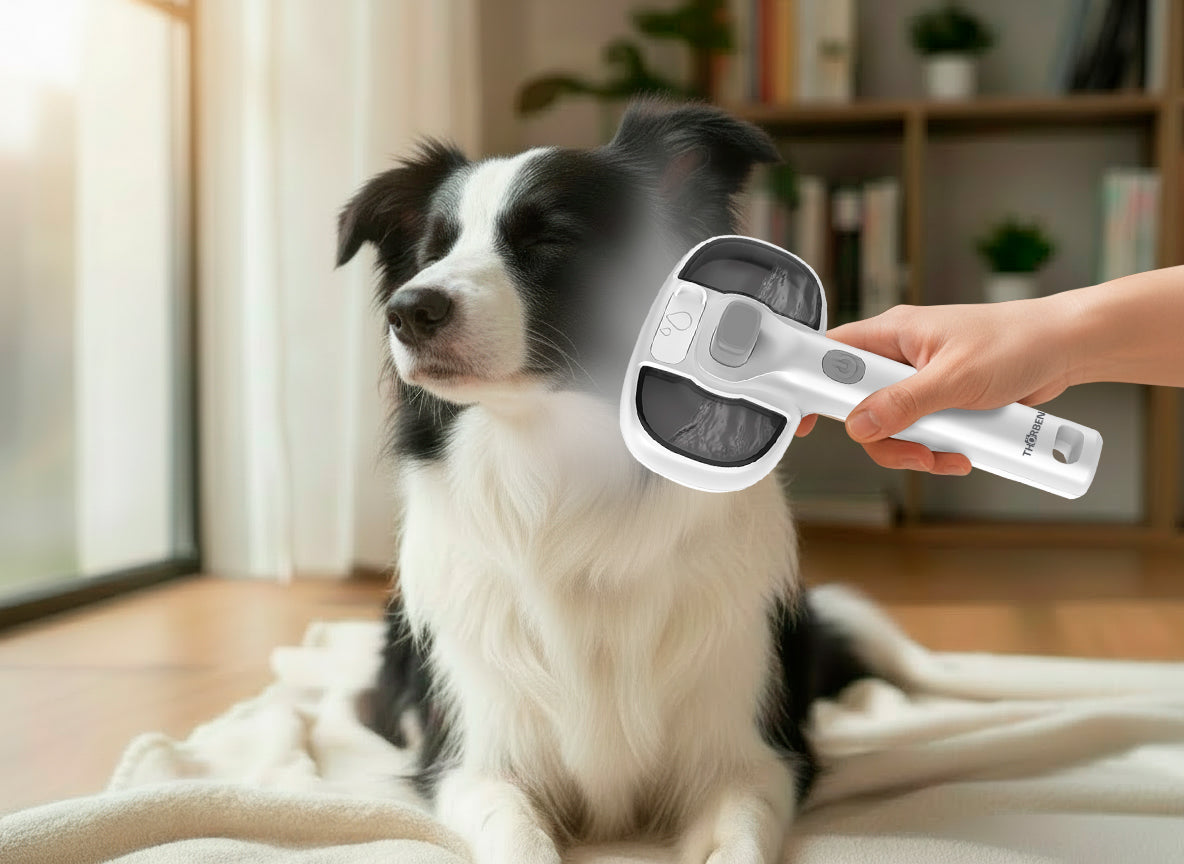 Cepillo Vaporizador para Mascotas Thor USB Pet Steam Brush